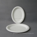 Biodegradable Waterproof Disposable Sugarcane Pulp Oval Takeaway Plate